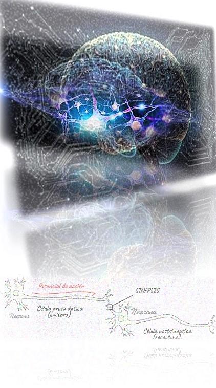 Febrero 2024 UnADM Roberto Aparici